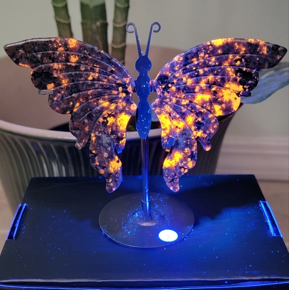 (B) NEW 5.25" x 4.75" UV REACTIVE YOOPERLITE WINGS - Picture 3 of 3